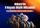 Ankara'da 9 koşuda büyük mücadele! İşte Misli'den günün altılı analizi