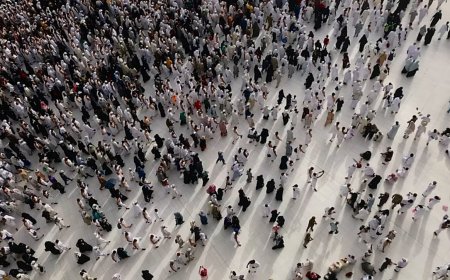 Araştırmacılar: 'Dünya nüfusu 2200 yılına kadar 4 milyara düşmeli'