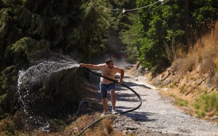 Alevler sahile ulaştı. Yunanistan'da yüzlerce itfaiyeci seferber oldu