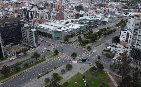 Araştırma: Yeşil mahallelerde yaşayanlar daha uzun uyuyabilir