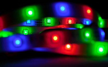 Japon mucit şarap, toprak ve Fransız ekmeğinden elektrik üretiyor