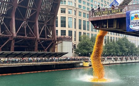 Chicago Nehri'nde 90 bin lastik ördek, bağış için yarıştı