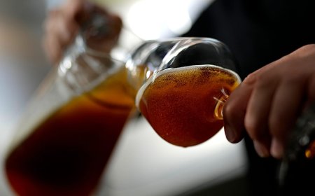 Biranın eski ve yeni dünyası: 160’tan fazla stil, beş duyuyla yapılan tadım