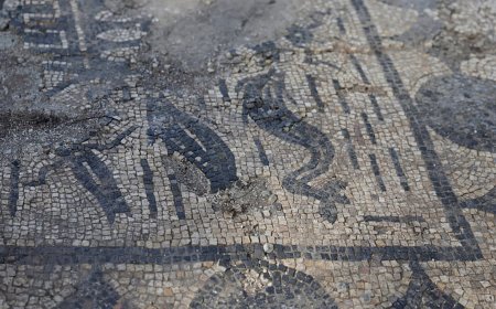 Roma'da inşaat çalışmaları sırasında 1800 yıllık mozaikli yapı ortaya çıktı