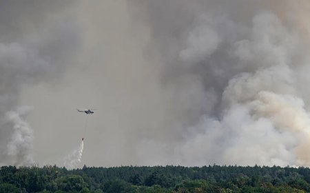 Aşırı sıcaklar Avrupa'yı kavuruyor: Orman yangınları hız kesmiyor, nehirlerde su seviyesi düşüyor