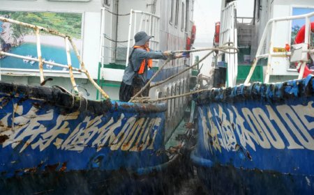 Dolphin Tayfunu Japonya'yı vurdu, Çin limanları kapattı