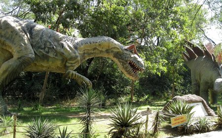 Dinozorlar sadece iki saat içinde yok olmuş olabilir