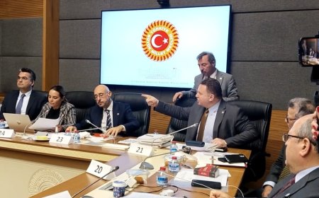 AKP'li Türkeş'ten MHP'li isme sert tepki: “Bu tavrı dehşet verici buluyorum”!