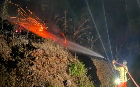 Antalya'daki orman yangını kontrol altına alındı