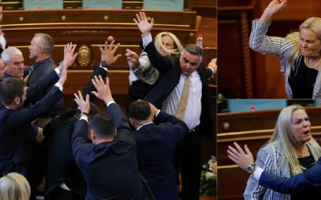 Mecliste başbakana yumurtalı protesto