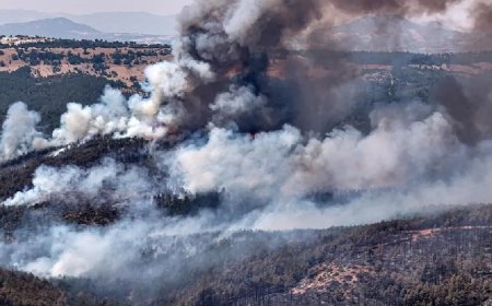 52 orman yangınına ilişkin soruşturma. 9 şüpheli tutuklandı