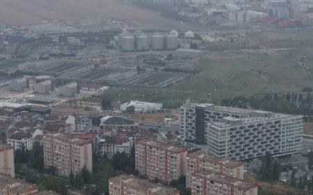 İstanbul'da yaz günü kış yaşandı. Leylekler göç yolunda