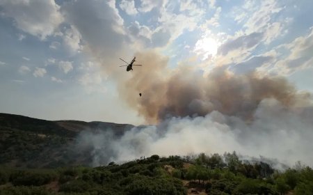 Manisa ve Edirne'de orman yangını. Havadan ve karadan müdahale sürüyor