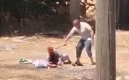 Şanlıurfa'da kan donduran olay. 85 yaşındaki annesini öldüresiye dövdü