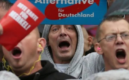 AfD, Almanya'nın doğu eyaletlerinde seçime önde giriyor. Ekonomistler ise endişeli