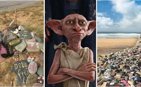 Harry Potter hayranlarının tepkisi enerji projesinin rotasını değiştirdi