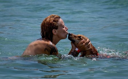 İspanya'nın köpekler için 2026 plaj haritası: Bu yaz evcil hayvanla deniz keyfi