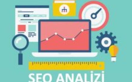 Detaylı seo raporu hangi verileri içerir ?