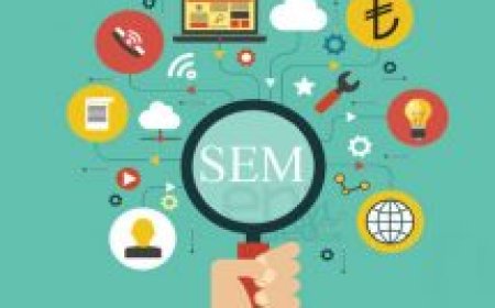 SEM Nedir?