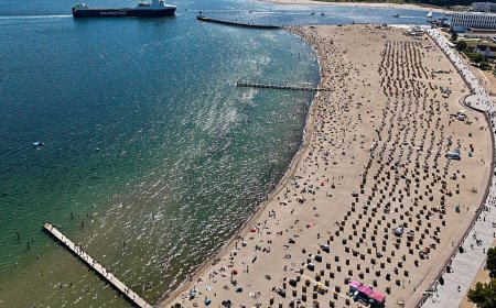 Baltık Denizi'nde zehirli mavi algler doğrulandı: Bu sulardan uzak durun