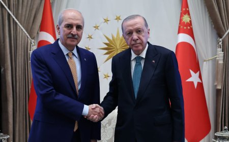 Erdoğan, Numan Kurtulmuş'u kabul etti: Gündemde 'Terörsüz Türkiye' var