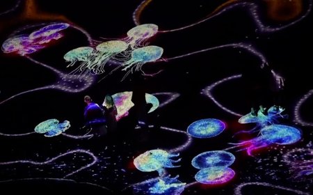 Bulgaristan Karadeniz kıyılarını dijital sanat festivaliyle aydınlattı