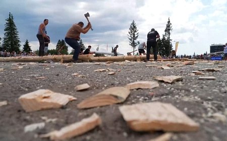 Fransa'nın en eski odunculuk yarışında baltalar yarıştı