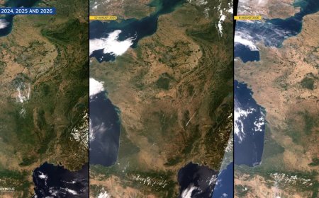 Fransa'nın yüzde 85'i kuraklıkla karşı karşıya. 43 vilayette alarm
