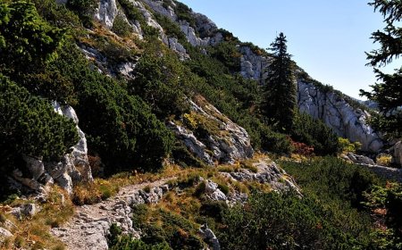 Lonely Planet'e göre: Avrupa'da sonbahar için en iyi üç yürüyüş seçildi