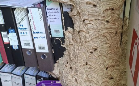 Ofisine döndü, gözlerine inanamadı. "Bundan hemen kurtulmam gerek"