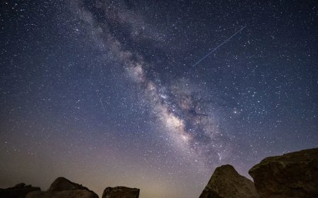 Gökyüzünde görsel şölen. Perseid meteor yağmuru geceyi aydınlattı