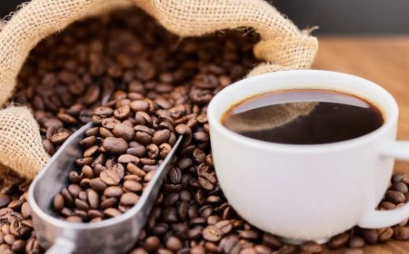 Türkiye'de kahve tüketimi artıyor: Kişi başı 2 kilo kahve içiliyor