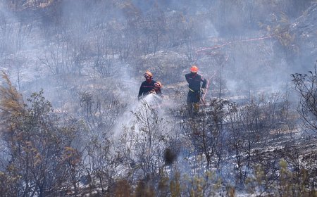 Avrupa’nın kavurucu yazının AB ekonomilerine 180 milyar avroya mal olacağı öngörüldü