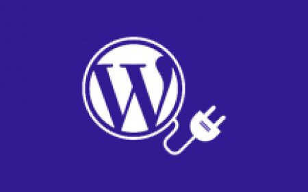 WordPress SEO Yorum Eklentisi Kullanırken Dikkatli Olun