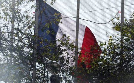 Fransa, büyükelçi hakkında soruşturma başlattı. "Onlarca kadın getirdi"