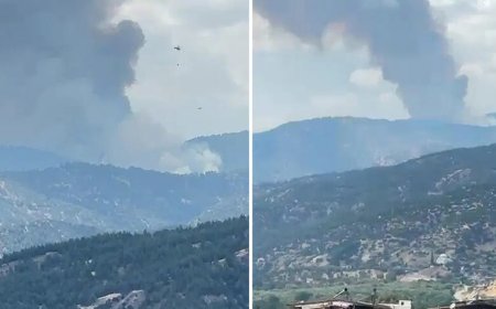 Aydın Kuyucak'ta orman yangını