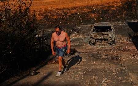 Avrupa'da orman yangınları: 2026 şimdiye kadarki en kötü yıl mı oldu