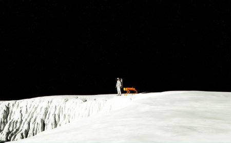 Ay’da Yeni Dönem: Robot Köpekler Astronotlarla Birlikte Çalışacak!