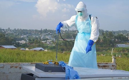 Kongo'daki Ebola salgını hızla yayılıyor: DSÖ'den kritik uyarı