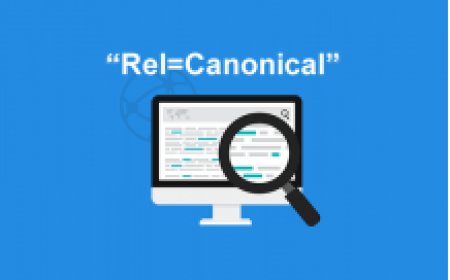 Canonical Url Etiketi Kullanımı