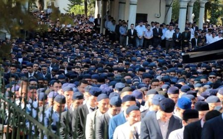 Süleymancılara ait tüm şirketlere kayyum atandı