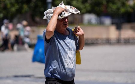 Almanya'da sıcak hava bilançosu ağırlaştı: Can kaybı 12 bin 500'e çıktı