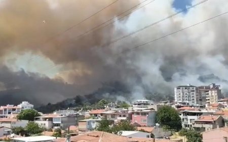 Balıkesir'de orman yangını. Alevler yerleşim yerlerine zarar verdi
