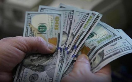 Alman devinden çarpıcı tahmin: Dolar 2027 gelmeden 53 lirayı görebilir!