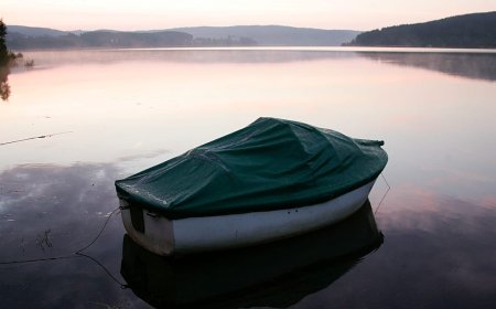 Schwarzwald 'coolcation' oldu: Almanya turizmi 2026'da yükselişe geçti