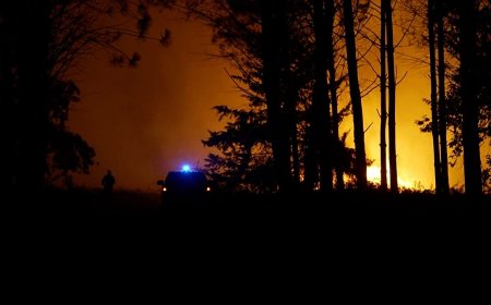 Fransa'da orman yangını: Landes'te 525 kişi tahliye edildi