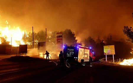 Hırvatistan kıyısında orman yangını: 1000 kişi tahliye edildi