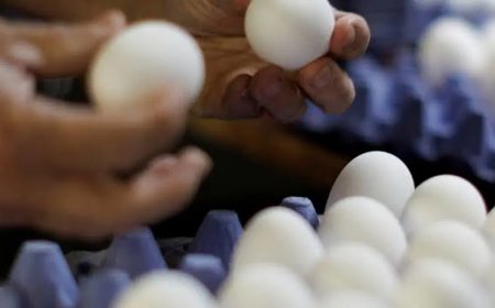 ABD'de milyonlarca yumurta geri çağrıldı