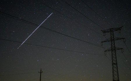 Polonya baskısıyla Starlink, dolaşım zammından geri adım attı