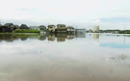 Japonya'da rekor yağış: Chiba'da en az dört kişi öldü